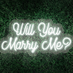 LED neon will you marry me